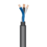 WIREWORLD  Equinox® 10 Audio Interconnect Cable-RCA-XLRM
